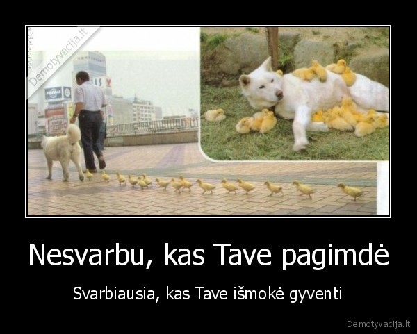 Nesvarbu, kas Tave pagimdė