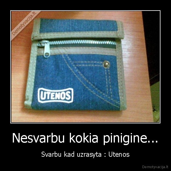 Nesvarbu kokia pinigine...