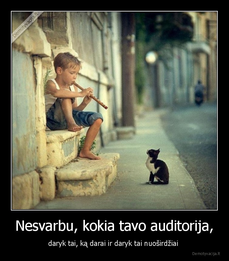 auditorija,katinas,muzika,scena