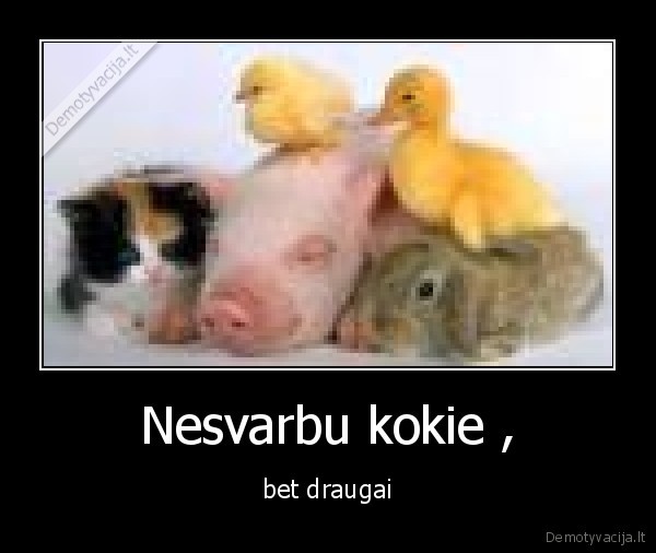 Nesvarbu kokie ,