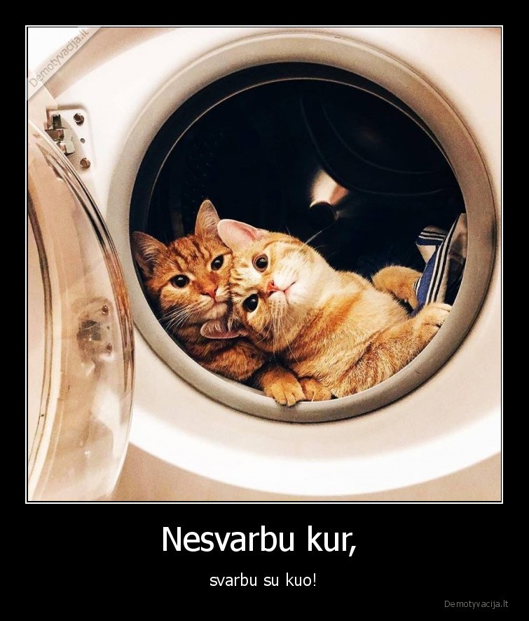 Nesvarbu kur, 