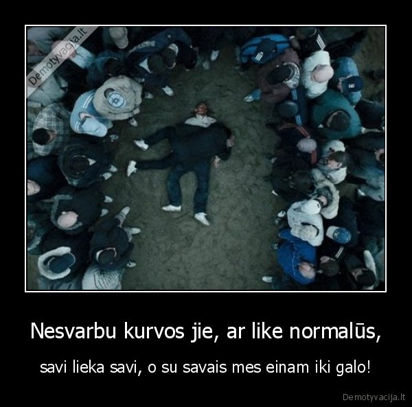 kas, geriau, lietuvis, ar, kudirka,o, tu, pacuk, ciulpk, kudirkos, birrrr
