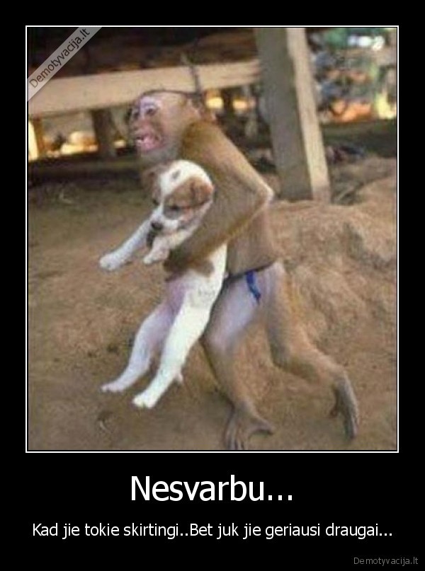 Nesvarbu...