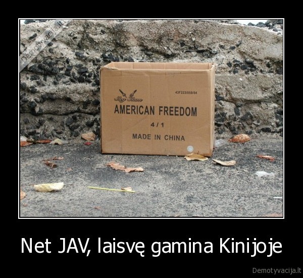 laisve