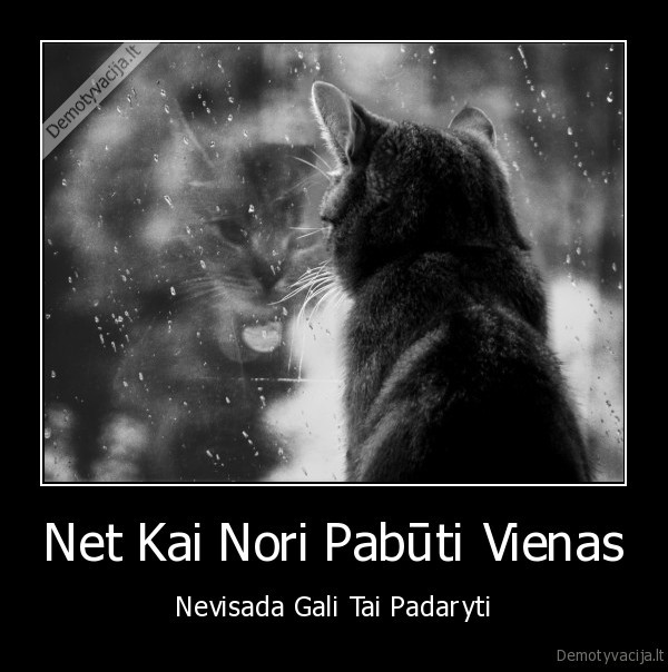 Net Kai Nori Pabūti Vienas