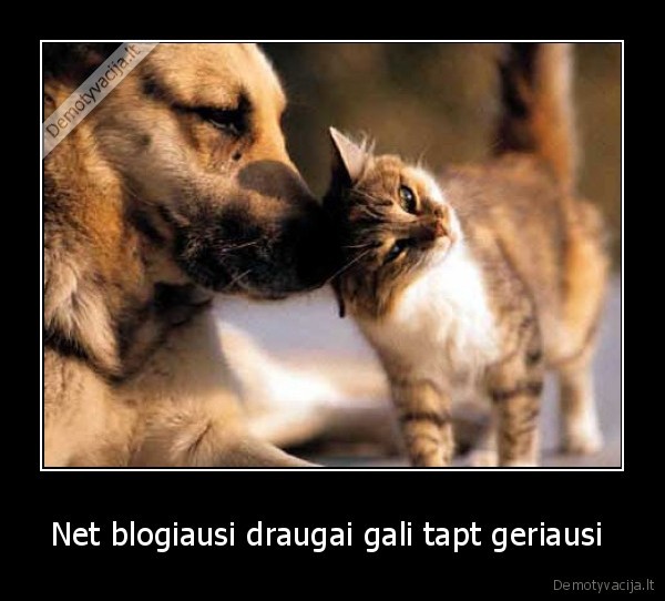 Net blogiausi draugai gali tapt geriausi 