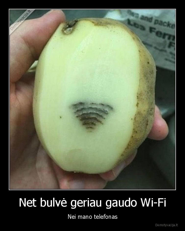 wi, fi, signalas
