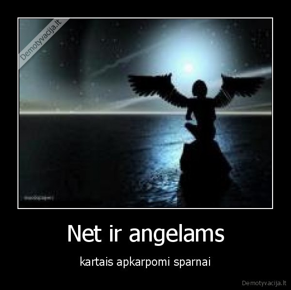 Net ir angelams
