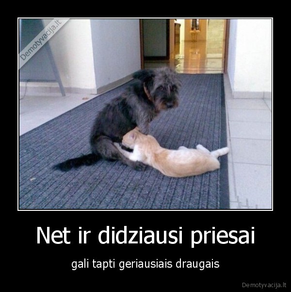 Net ir didziausi priesai