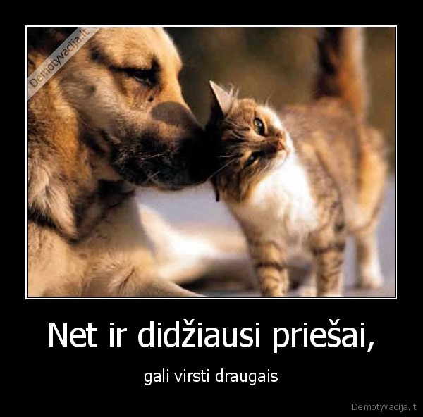 Net ir didžiausi priešai,