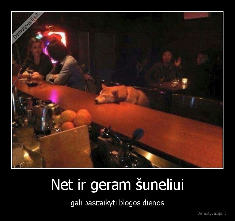 bloga, diena,blogas,suniukas,sunelis