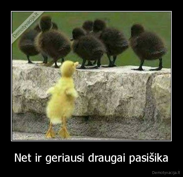 Net ir geriausi draugai pasišika