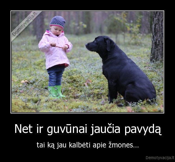 pavydas,jausmas