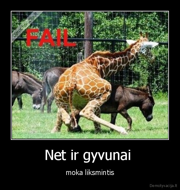 Net ir gyvunai 