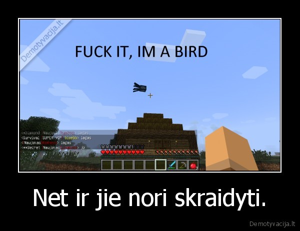 zaidimas, minecraft, squid, fly