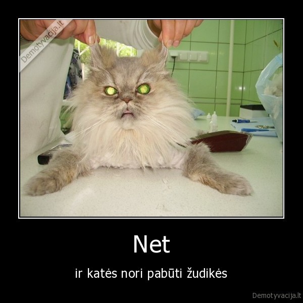 Net