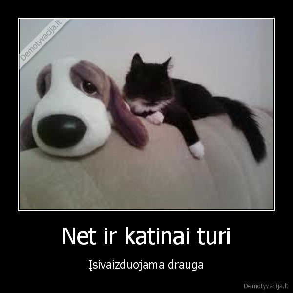 kates