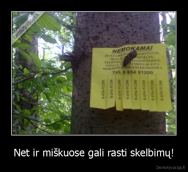 miskas,skelbimas