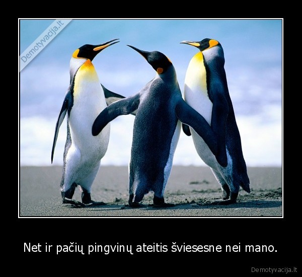 Net ir pačių pingvinų ateitis šviesesne nei mano.