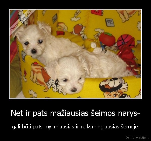 reksmingumeas,nepriklauso,nuo, dydzio