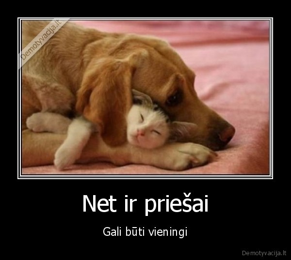 Net ir priešai