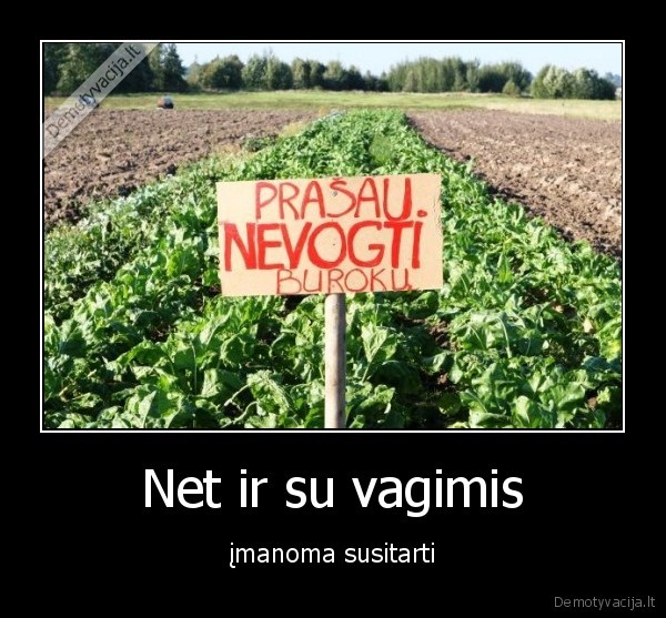 Net ir su vagimis