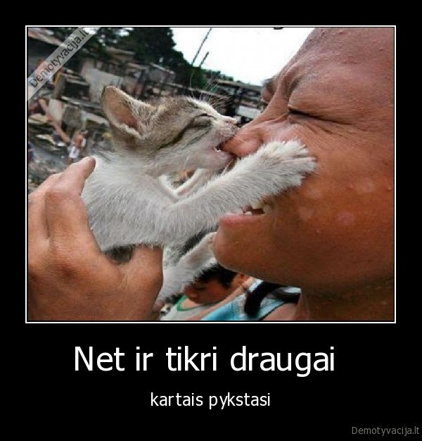 Net ir tikri draugai 