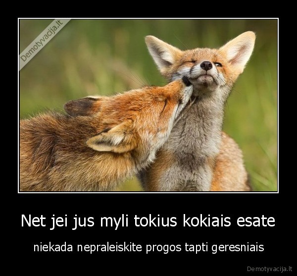 meile,jausmai