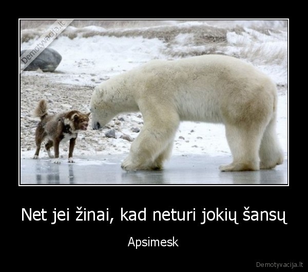 didelis, suo,piktas, suo,suo, pries, loki