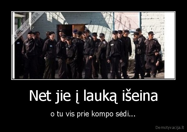 kaliniai,laukas