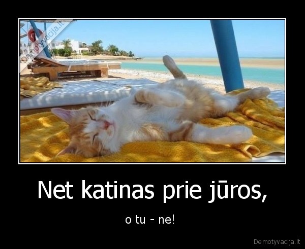 jura,katinas
