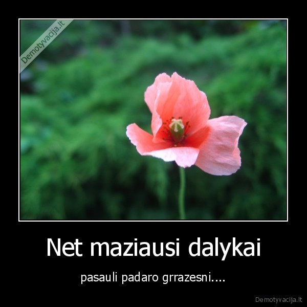 Net maziausi dalykai