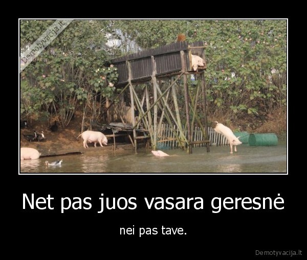 vasara,parsiukai,maudytis
