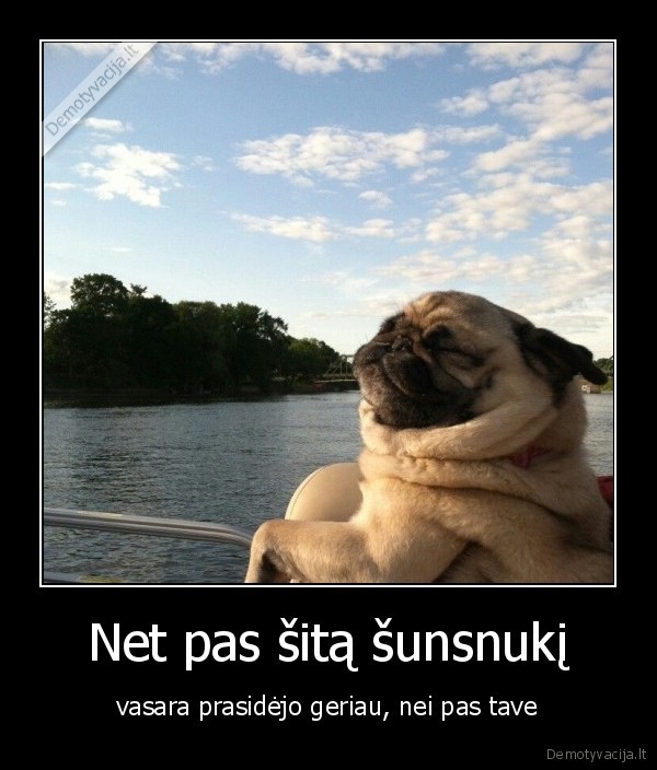 suo,vasara