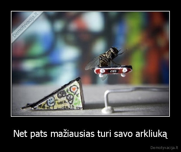 muse, skateriai, skateboarding