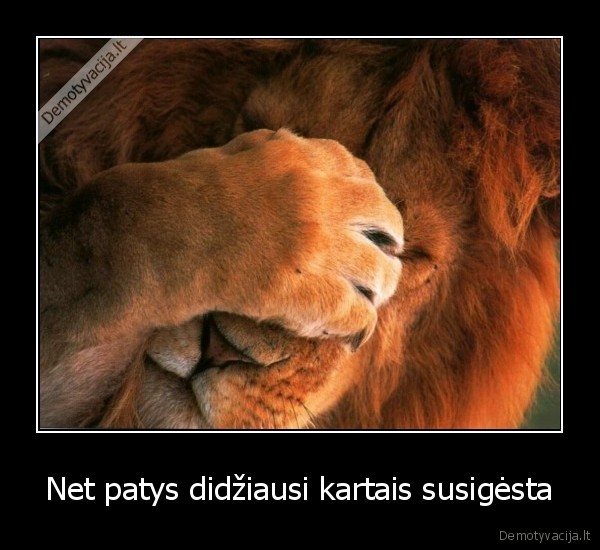Net patys didžiausi kartais susigėsta