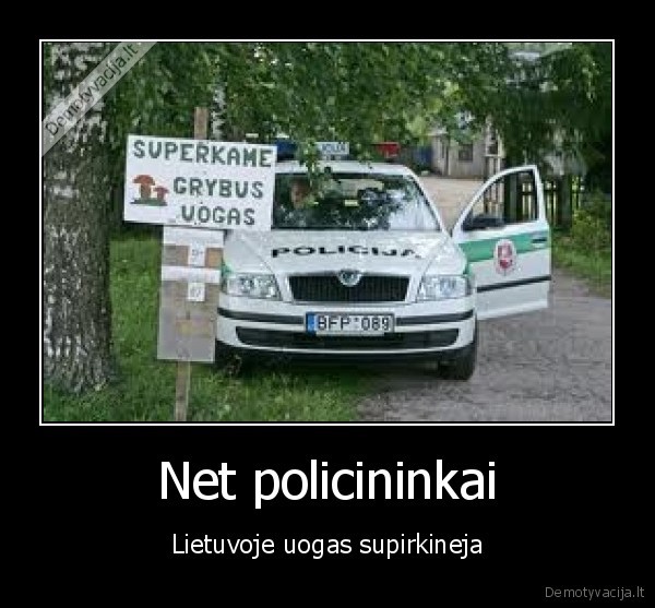 ir, pigmentai, uogas, megst...d