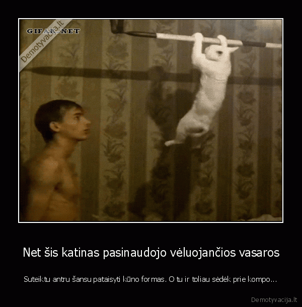 motyvacija, sportuoti,sportuojantis, katinas