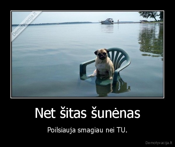 suo,poilsiauti