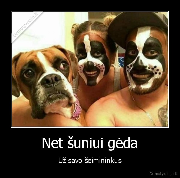 suo,issidaze, veidus