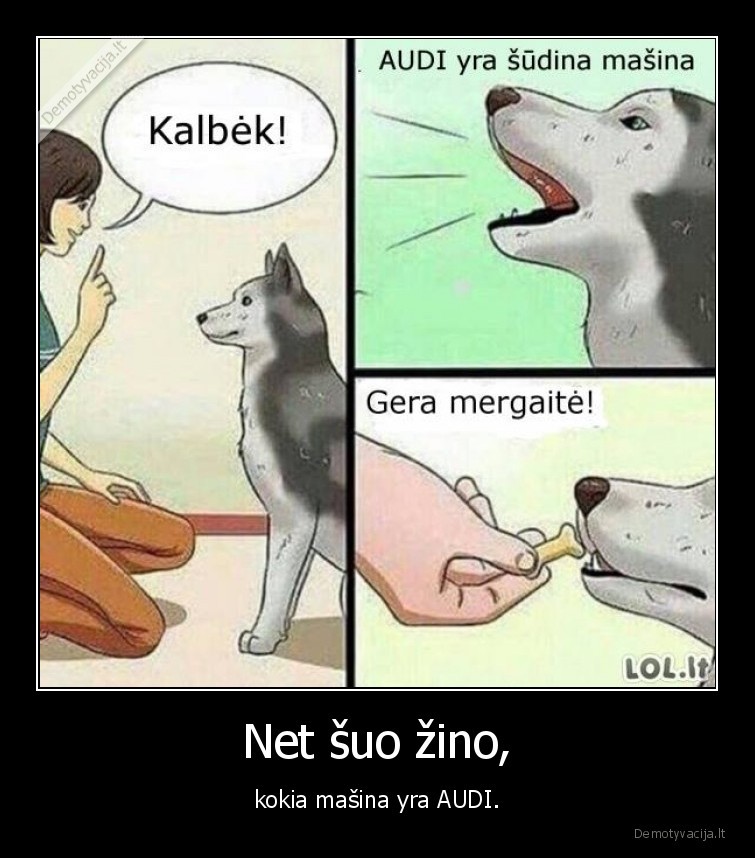 suo,audi,sudas