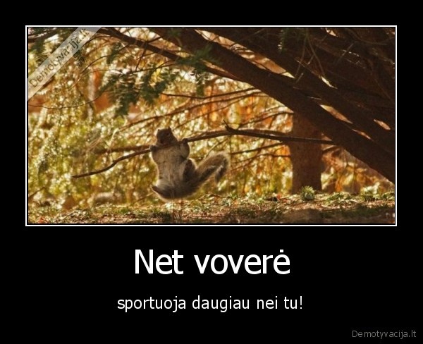 sportas,vovere