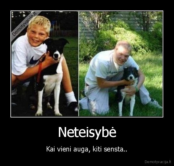 Neteisybė