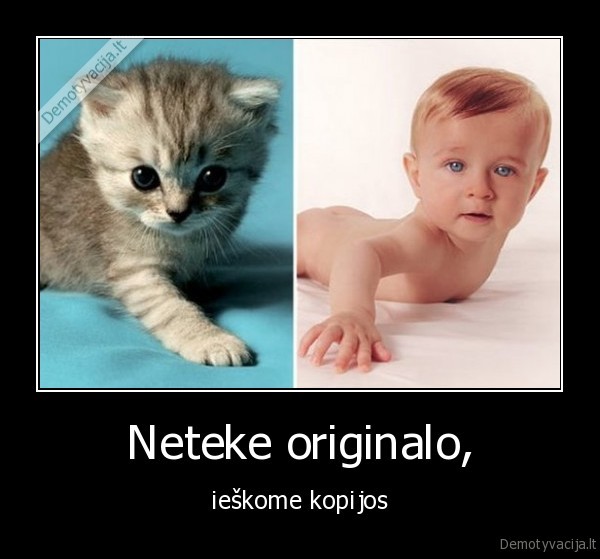 vaikas,katinas,kopija