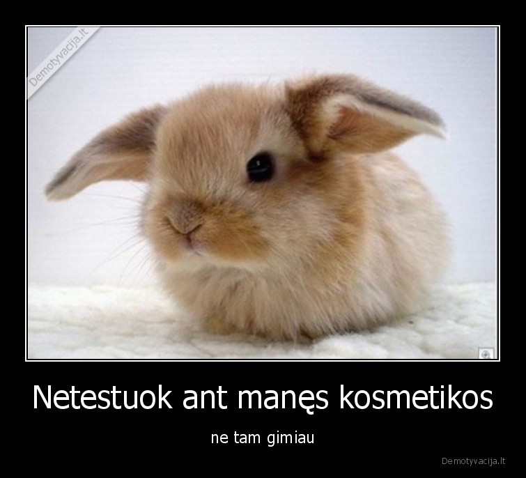 zuikis,kosmetika,testai