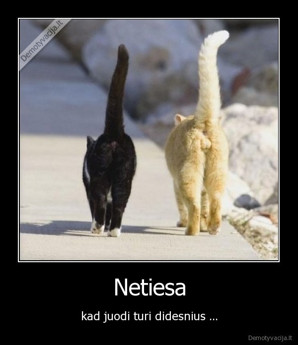 netiesa,juodi,turi,didesnius