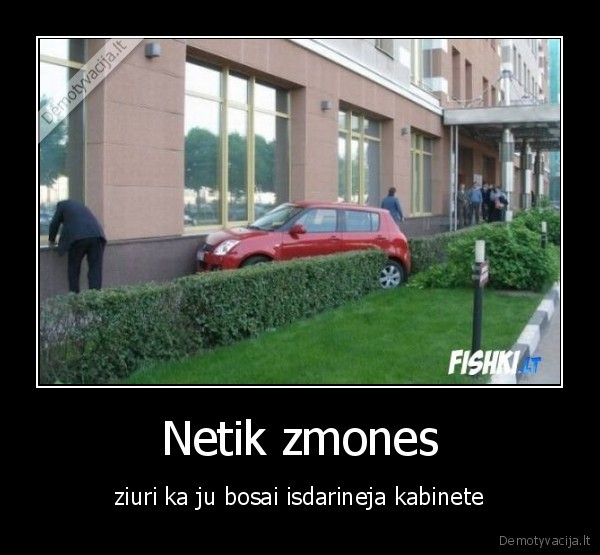 Netik zmones