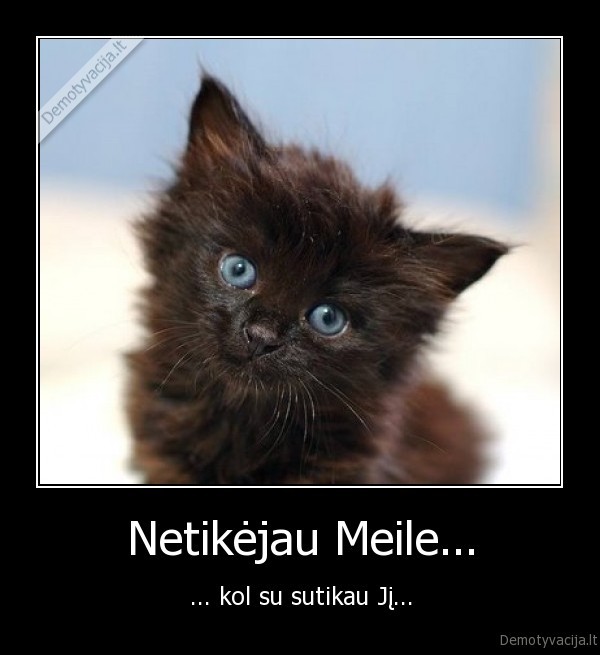 Netikėjau Meile...