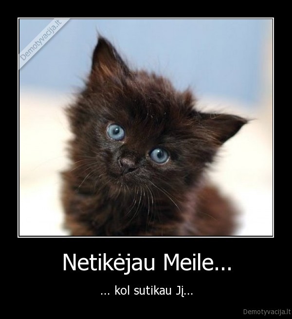 Netikėjau Meile...