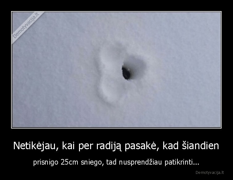 ilgas, penis